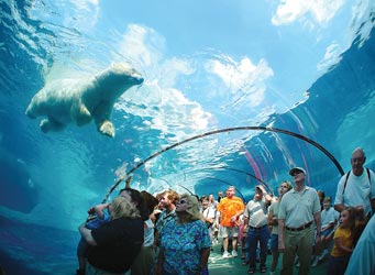 Zoo